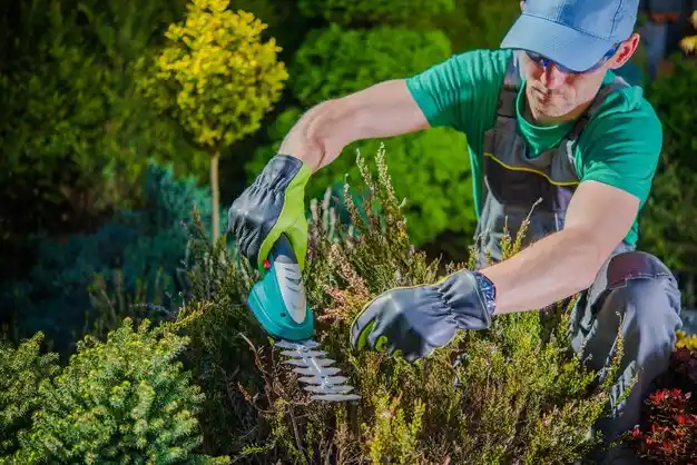 landscaping services Grand Point